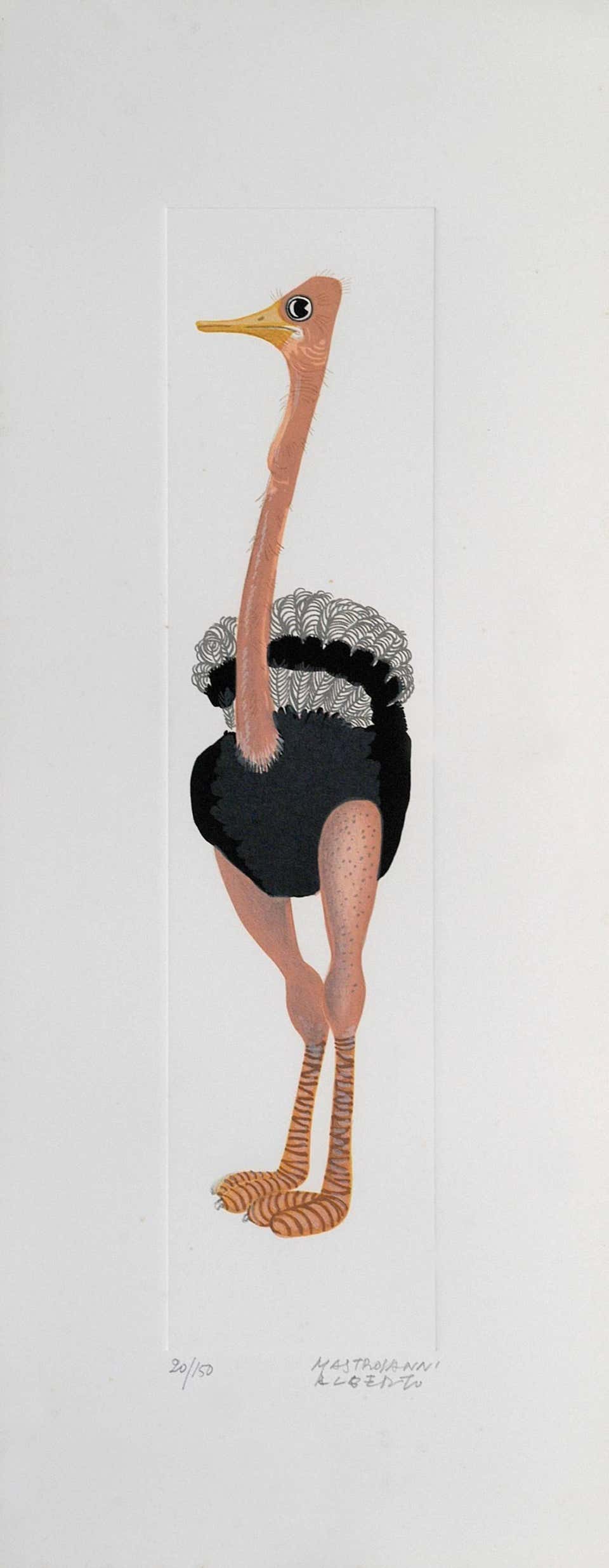 Alberto Mastroianni, Ostrich Alberto Mastroianni, Ostrich