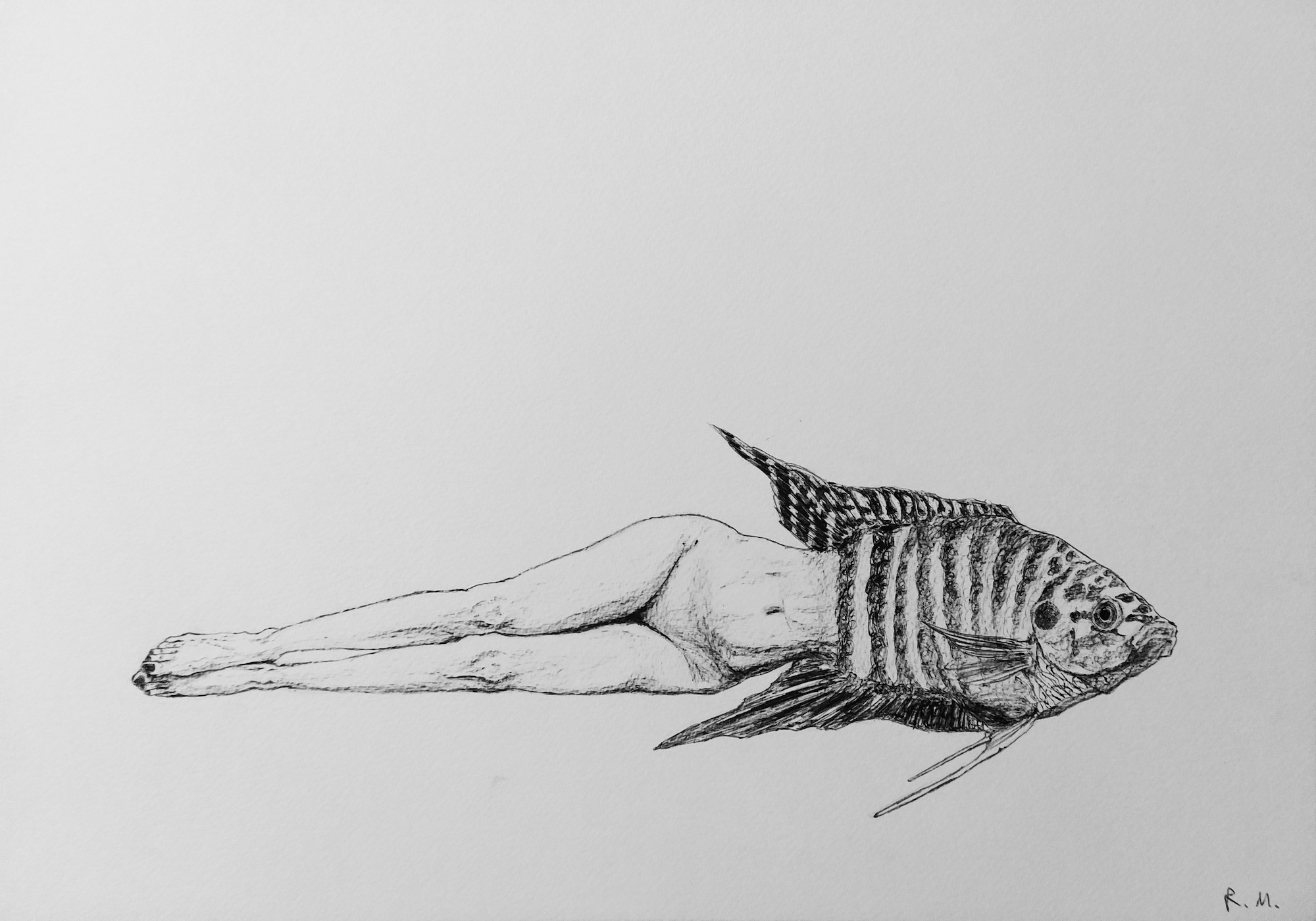 Rossella Mercedes, Fish (a tribute to Magritte) Rossella Mercedes, Fish (a tribute to Magritte)