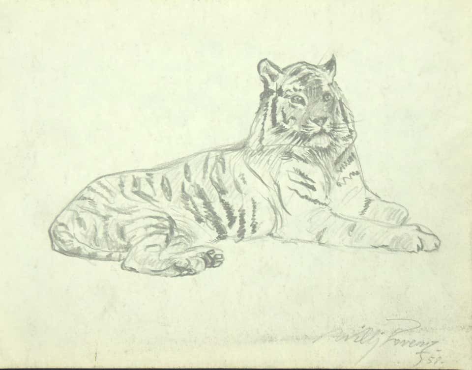 Wilhelm Lorenz, Tiger Wilhelm Lorenz, Tiger