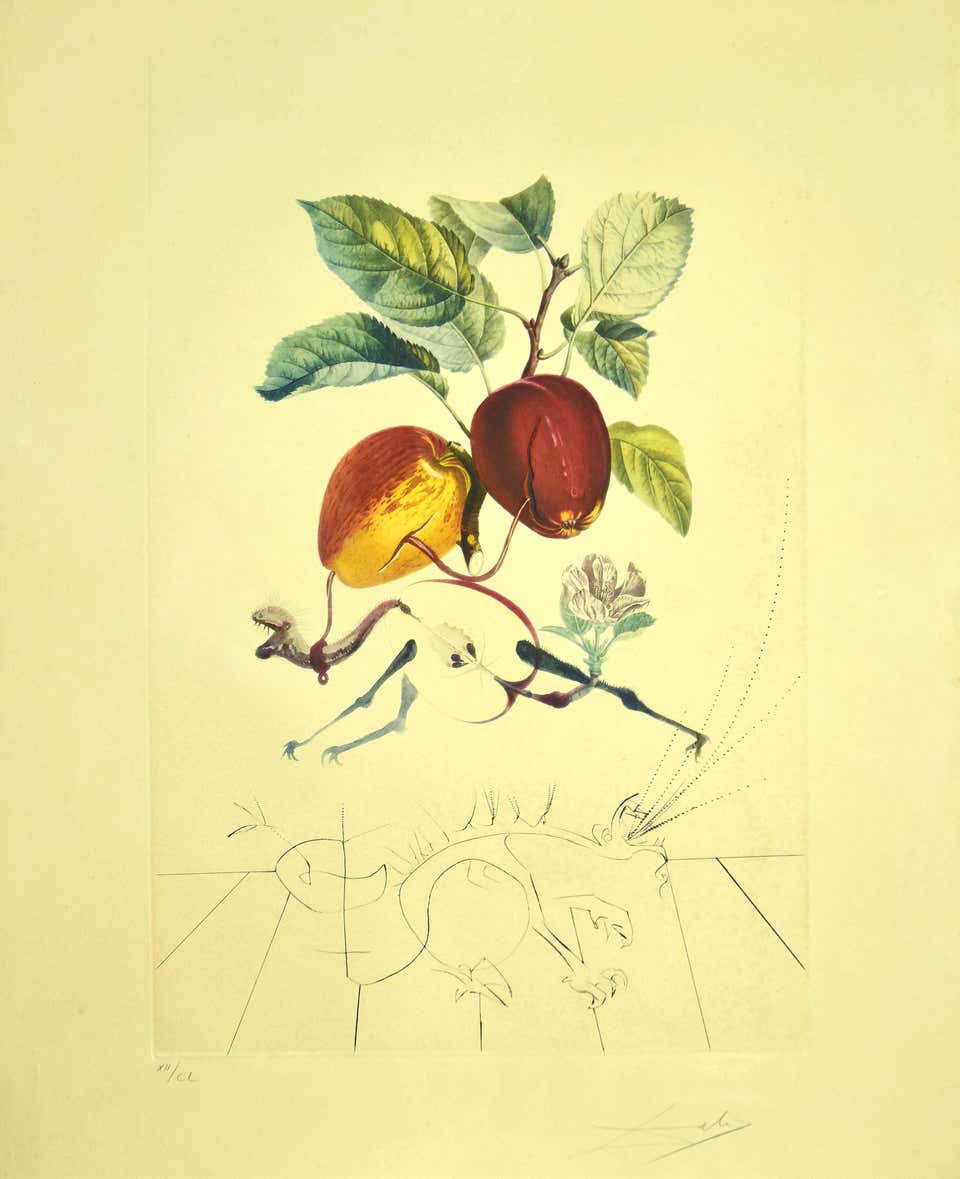 Salvador Dali, Pomme Dragon (Eve's Apple) Salvador Dali, Pomme Dragon (Eve's Apple)