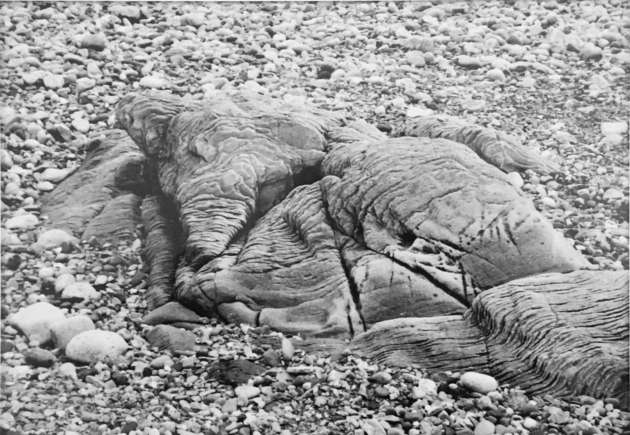 Marick, Les éléphants Marick, Les éléphants