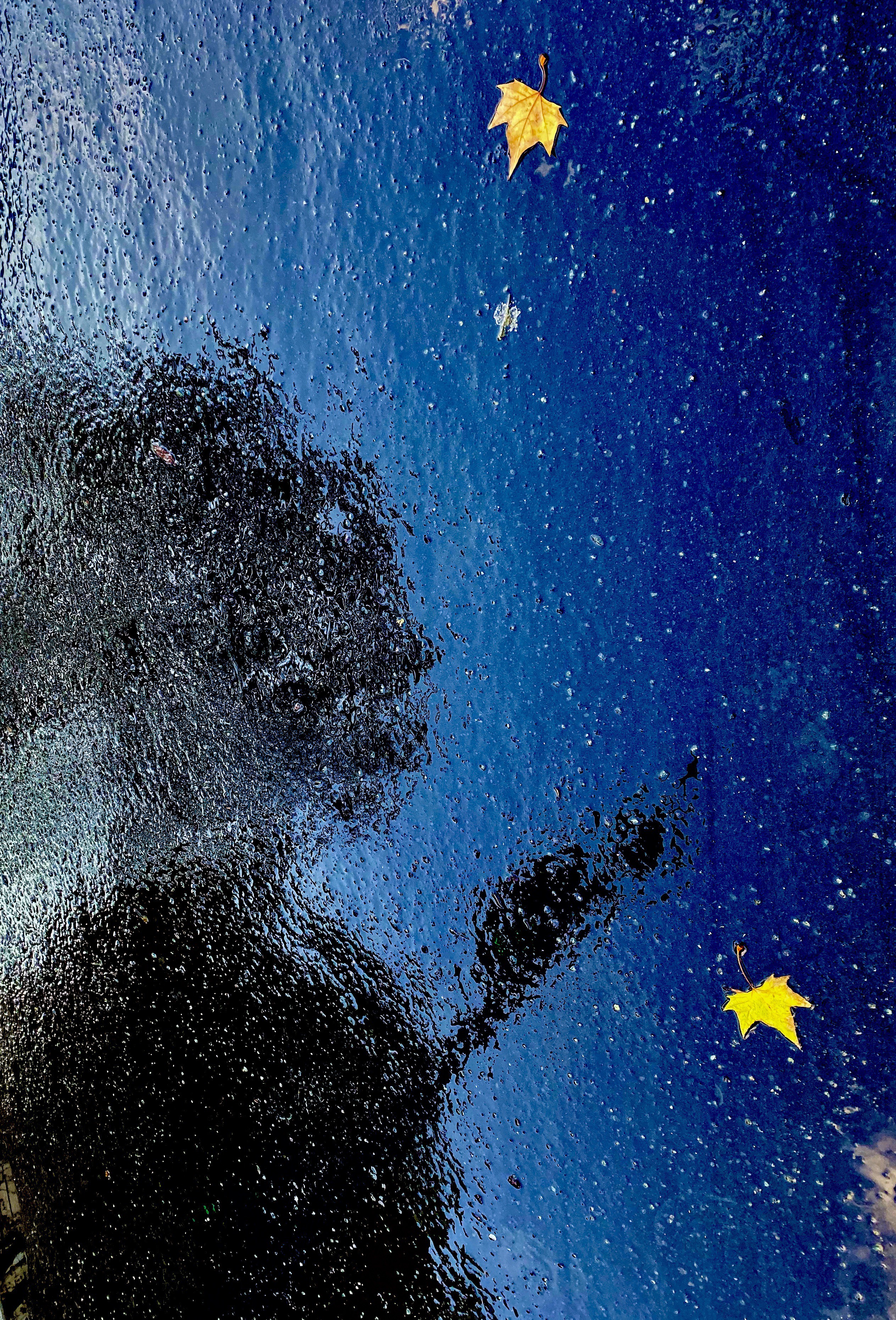 Marick, Nuit magique Marick, Nuit magique