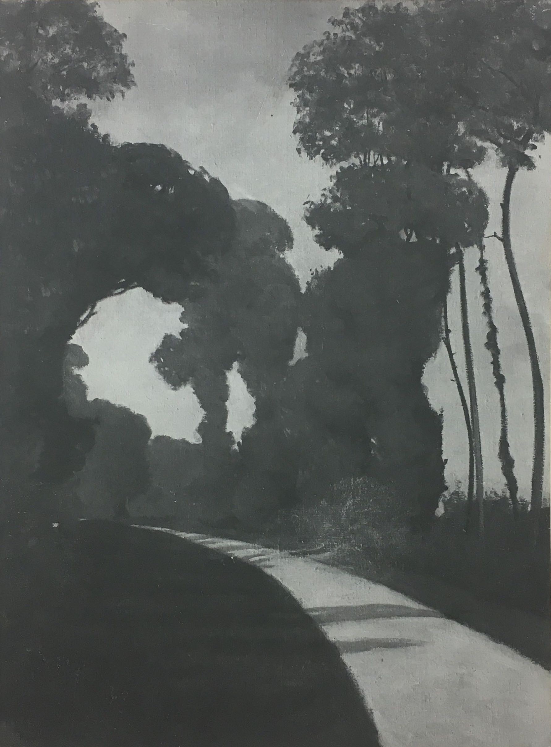 Eugène Druet, 1910 Arbres Trees Eugène Druet, 1910 Arbres Trees