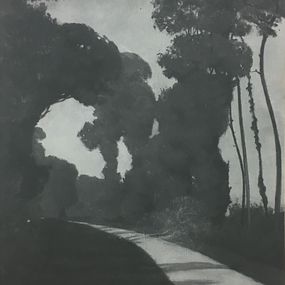 Fotografien, 1910 Arbres  Trees, Eugène Druet
