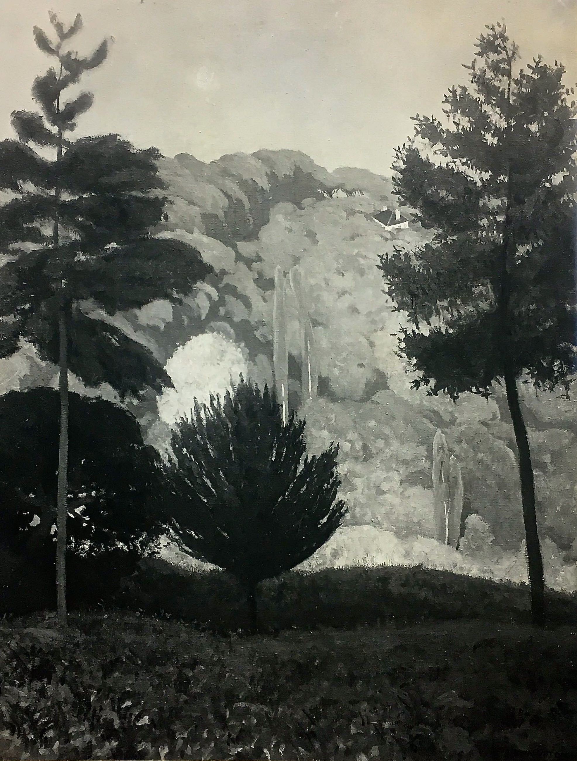 Eugène Druet, 1910 Forêt Forest Eugène Druet, 1910 Forêt Forest