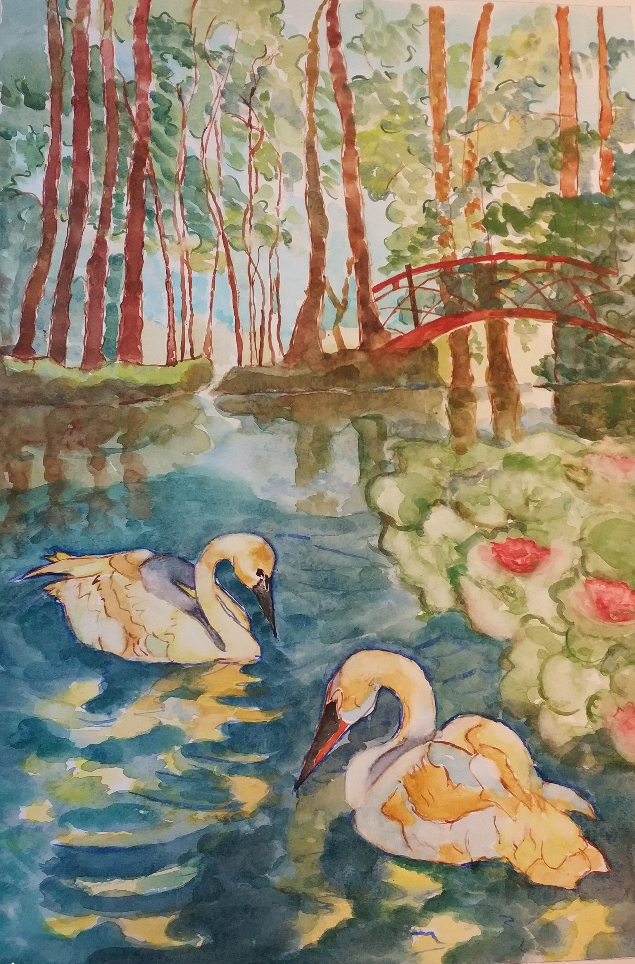 Serra Grau, Cisnes Serra Grau, Cisnes