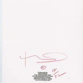 Bert Stern, Marilyn in Vogue (1962) Bert Stern, Marilyn in Vogue (1962)