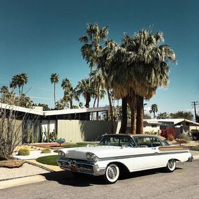 Photography, Twin Palms #2, Heike Bohnstengel