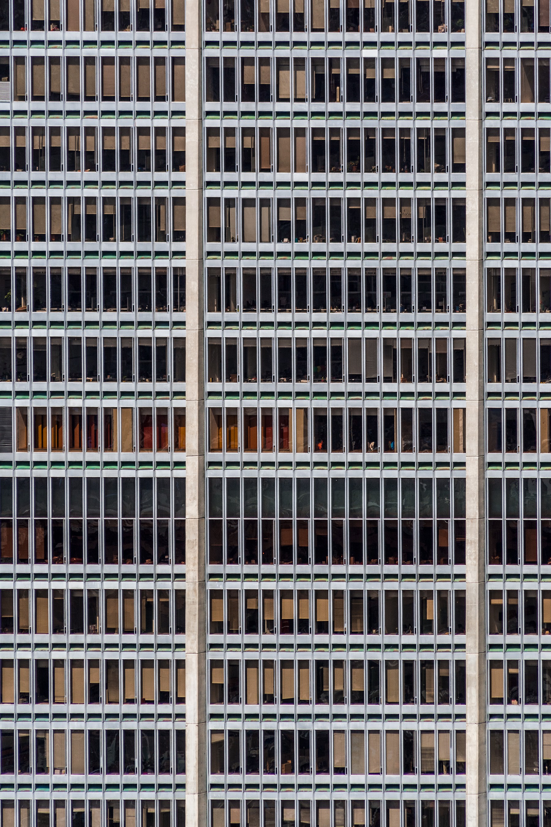 Javier Rey, 1001 Windows Javier Rey, 1001 Windows