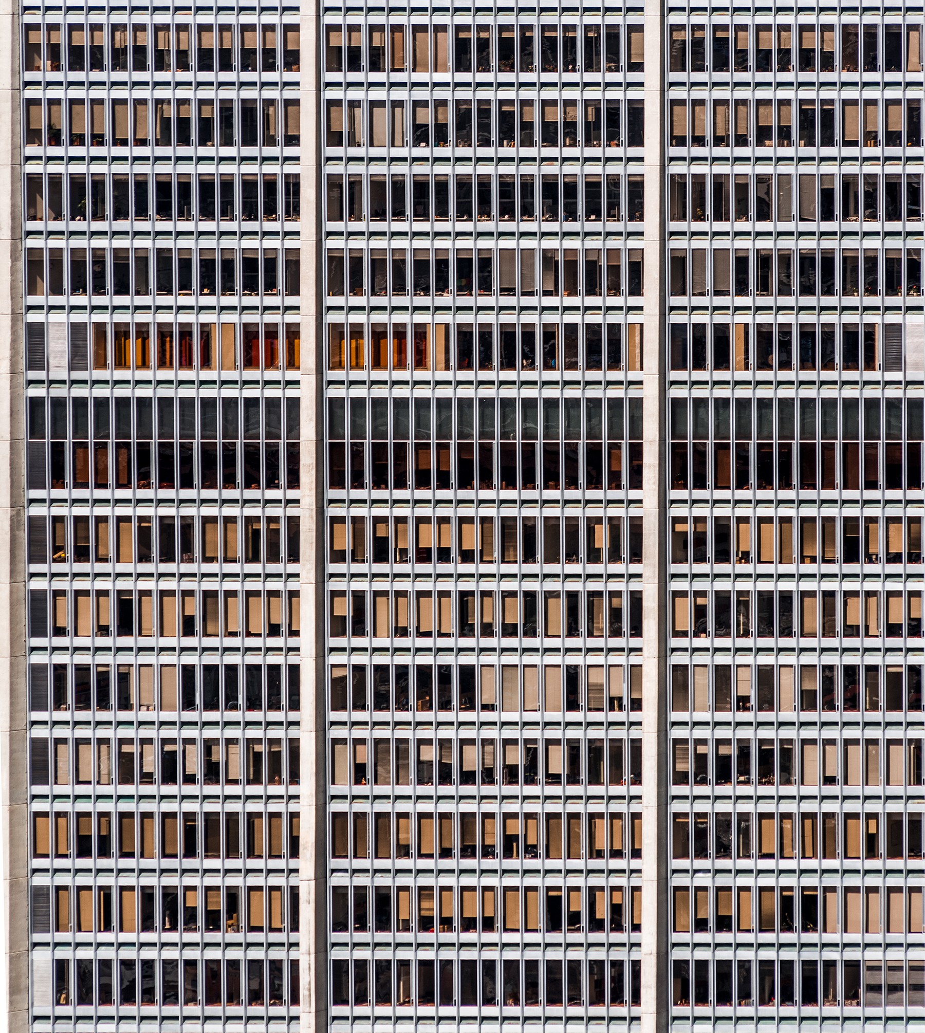 Javier Rey, 1003 Windows Javier Rey, 1003 Windows