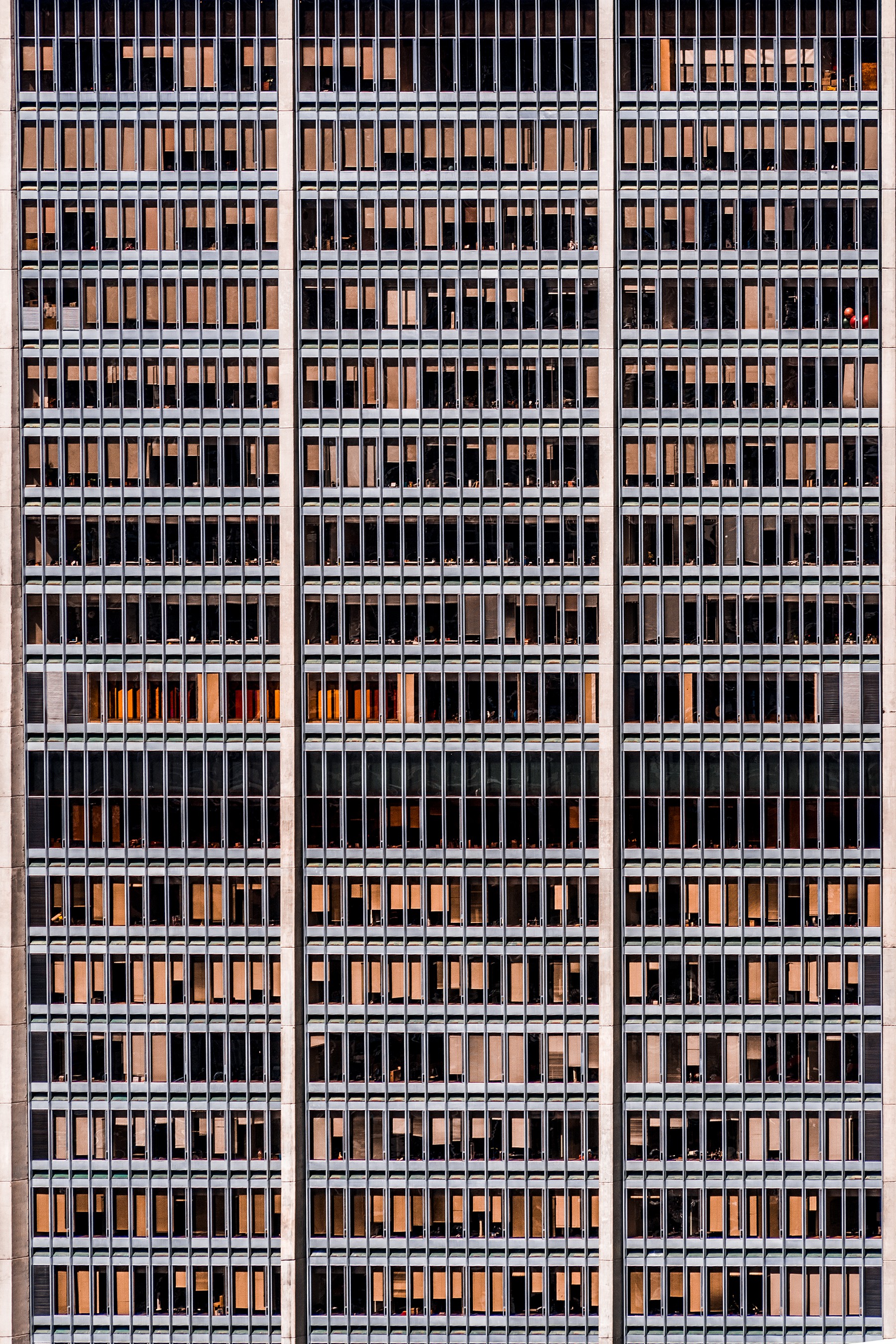 Javier Rey, 1004 Windows Javier Rey, 1004 Windows