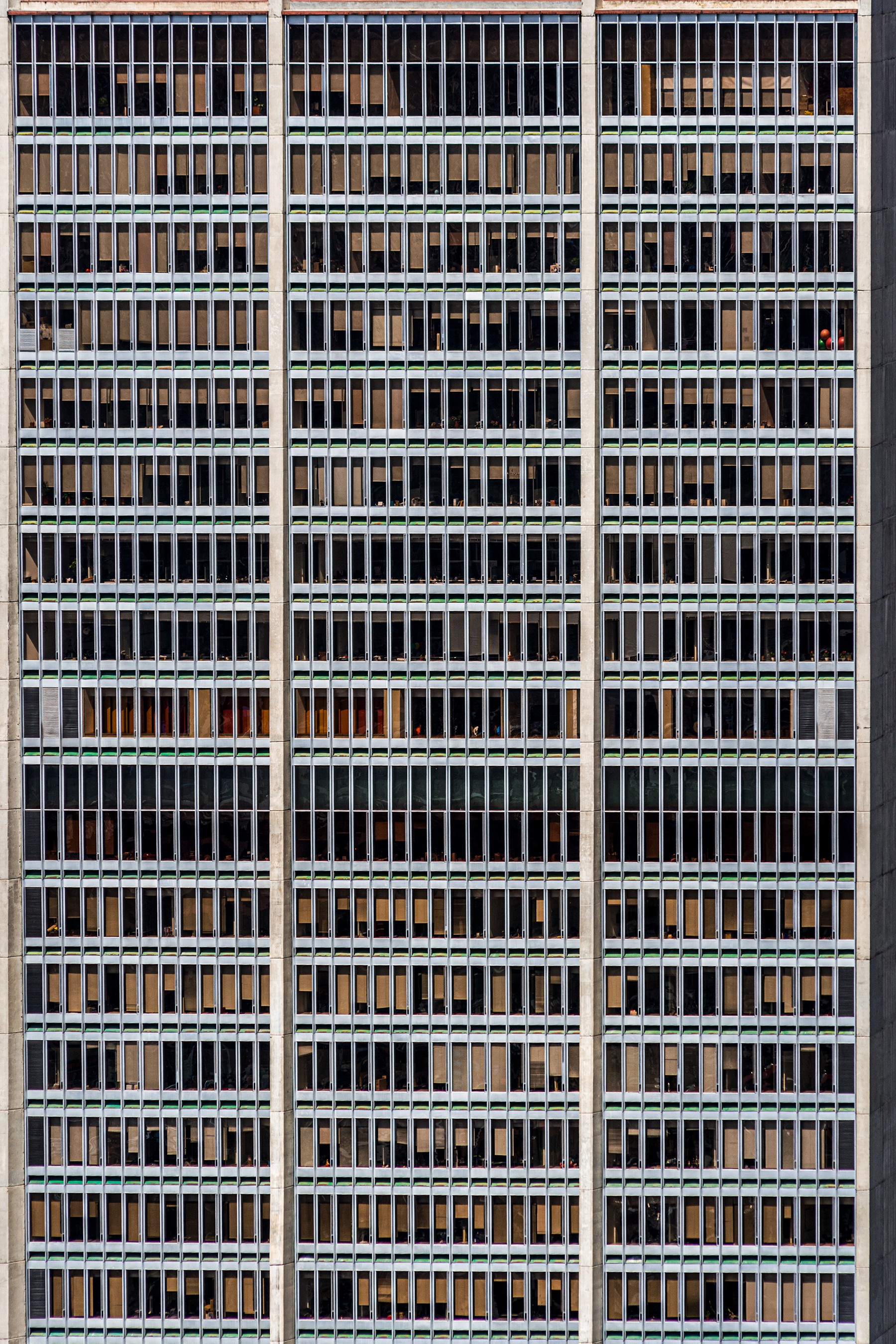 Javier Rey, 1002 Windows Javier Rey, 1002 Windows