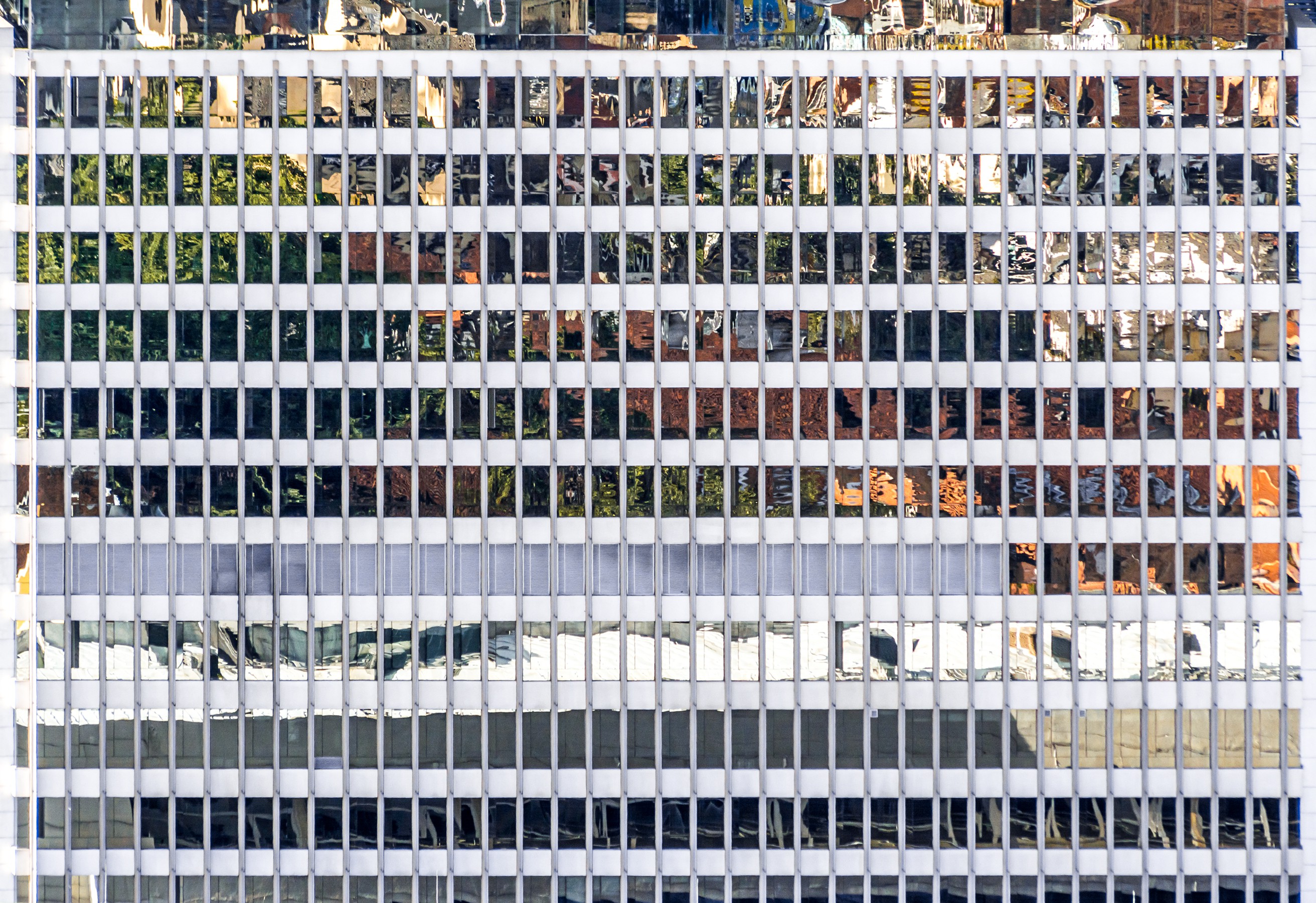 Javier Rey, 1007 Windows Javier Rey, 1007 Windows