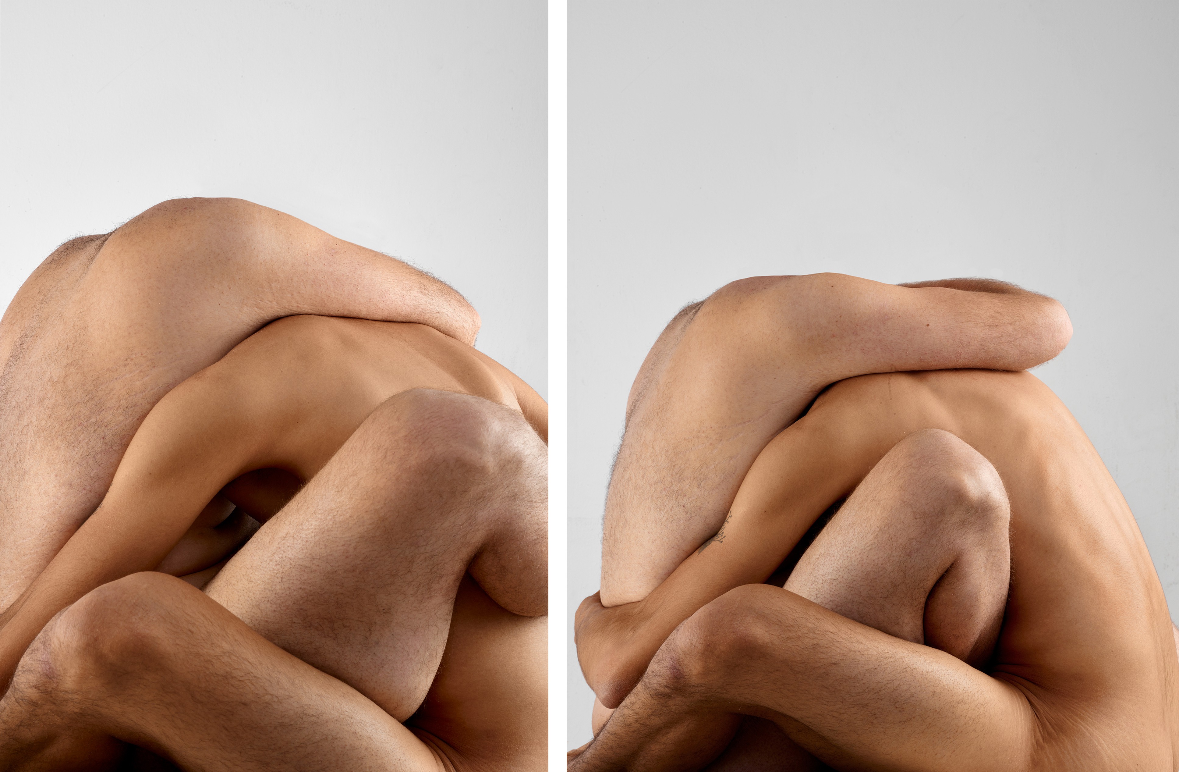 Javier Rey, Amorphisms (juntos) Diptych Javier Rey, Amorphisms (juntos) Diptych