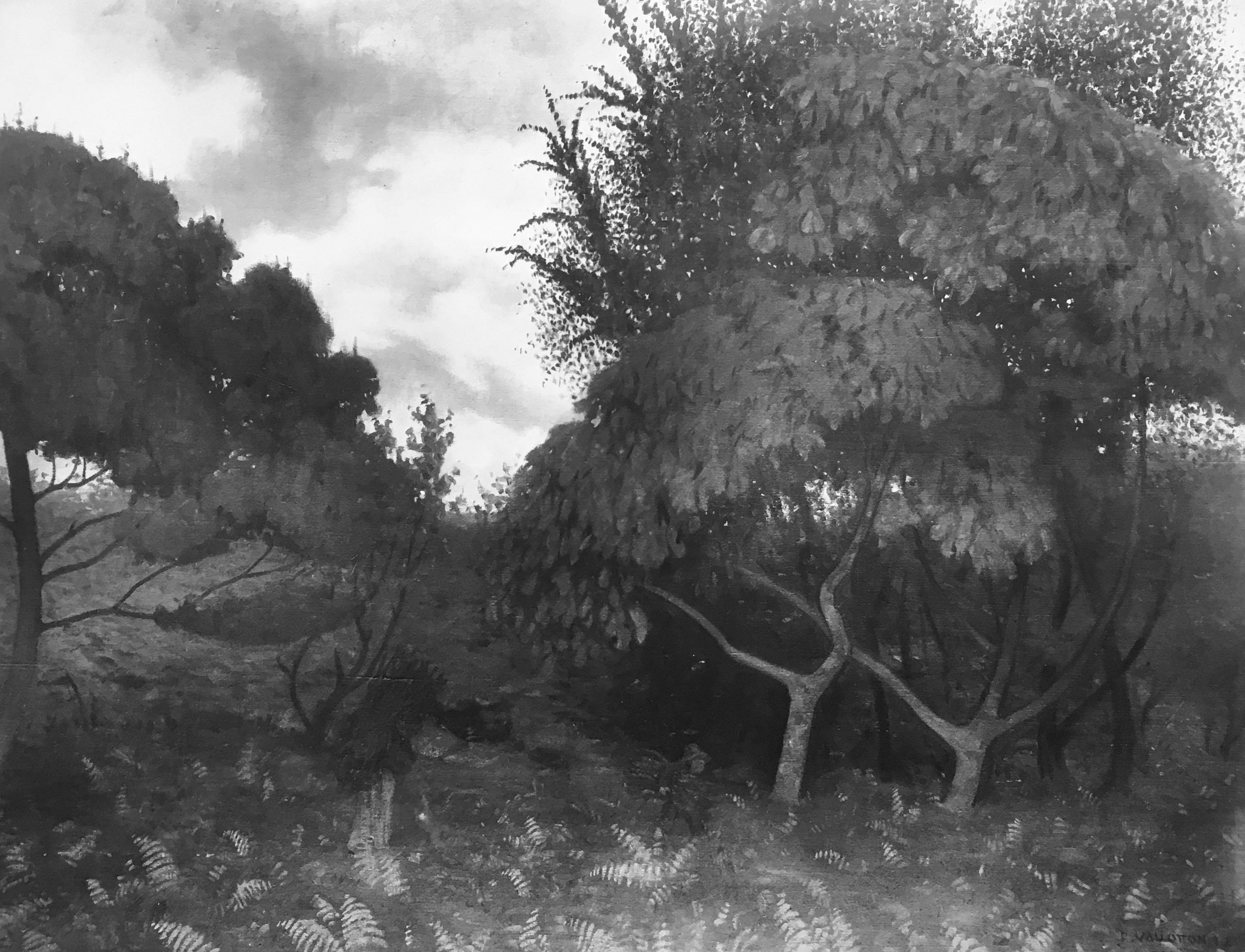 Eugène Druet, Félix VALLOTTON (1865-1925) Jardin sauvage Garden Eugène Druet, Félix VALLOTTON (1865-1925) Jardin sauvage Garden