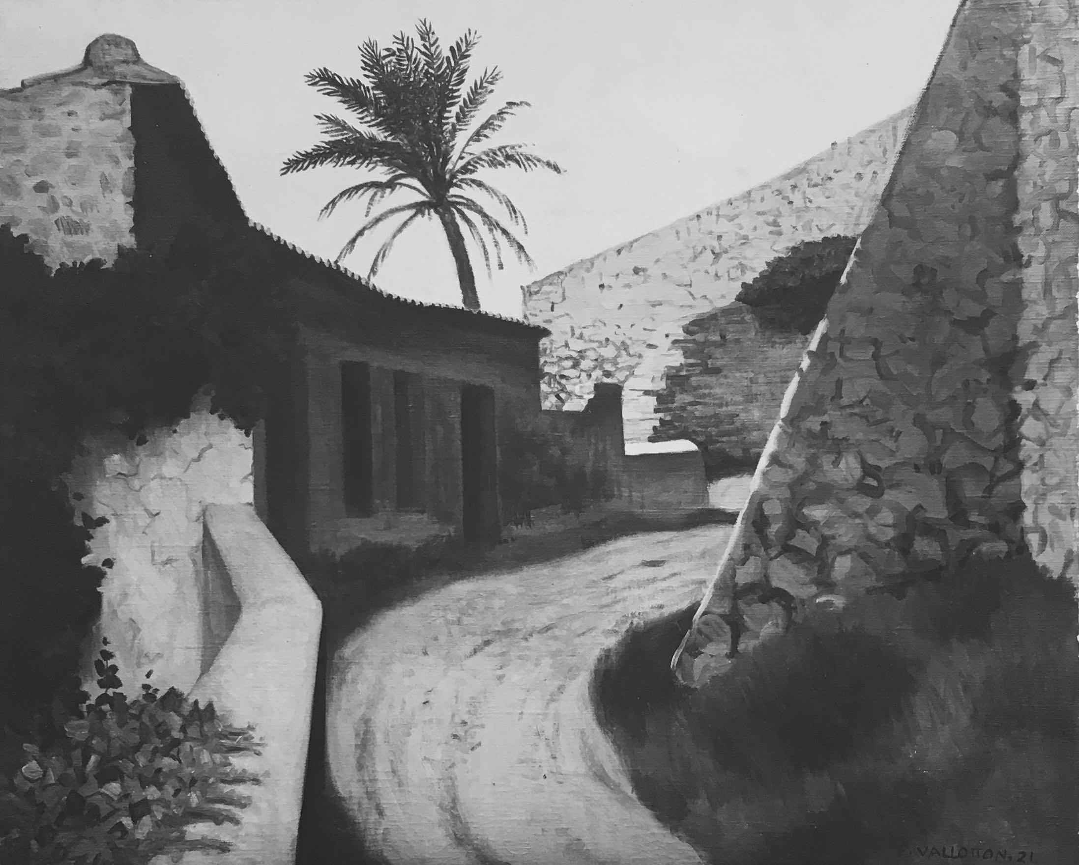 Eugène Druet, 1910 Palmier Palm tree Eugène Druet, 1910 Palmier Palm tree