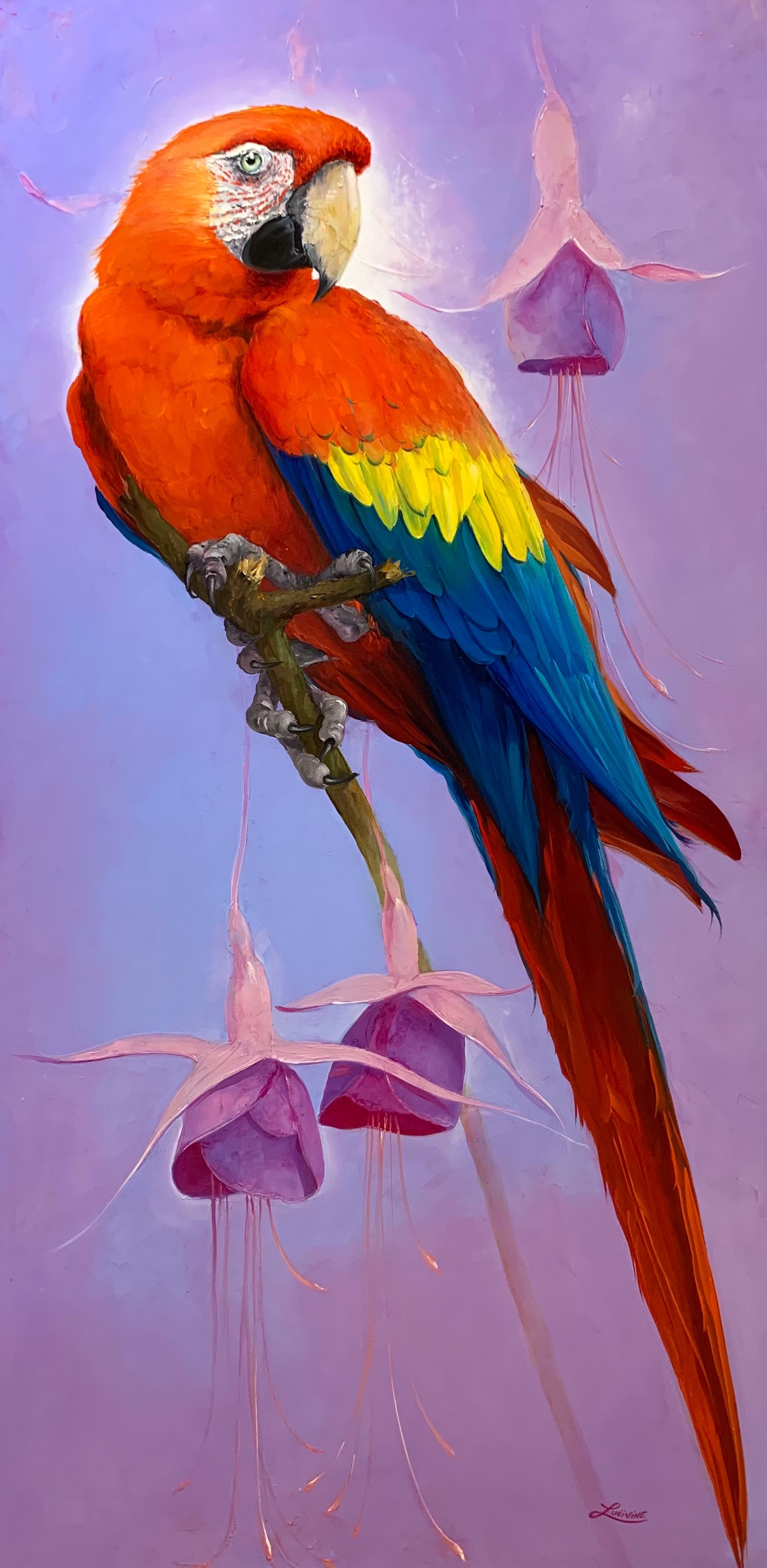 Ludivine Corominas, Couleurs d'Amazonie Ludivine Corominas, Couleurs d'Amazonie