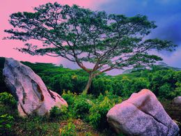 Fotografía, Distant Skies #81, Joseph Ó Riagáin