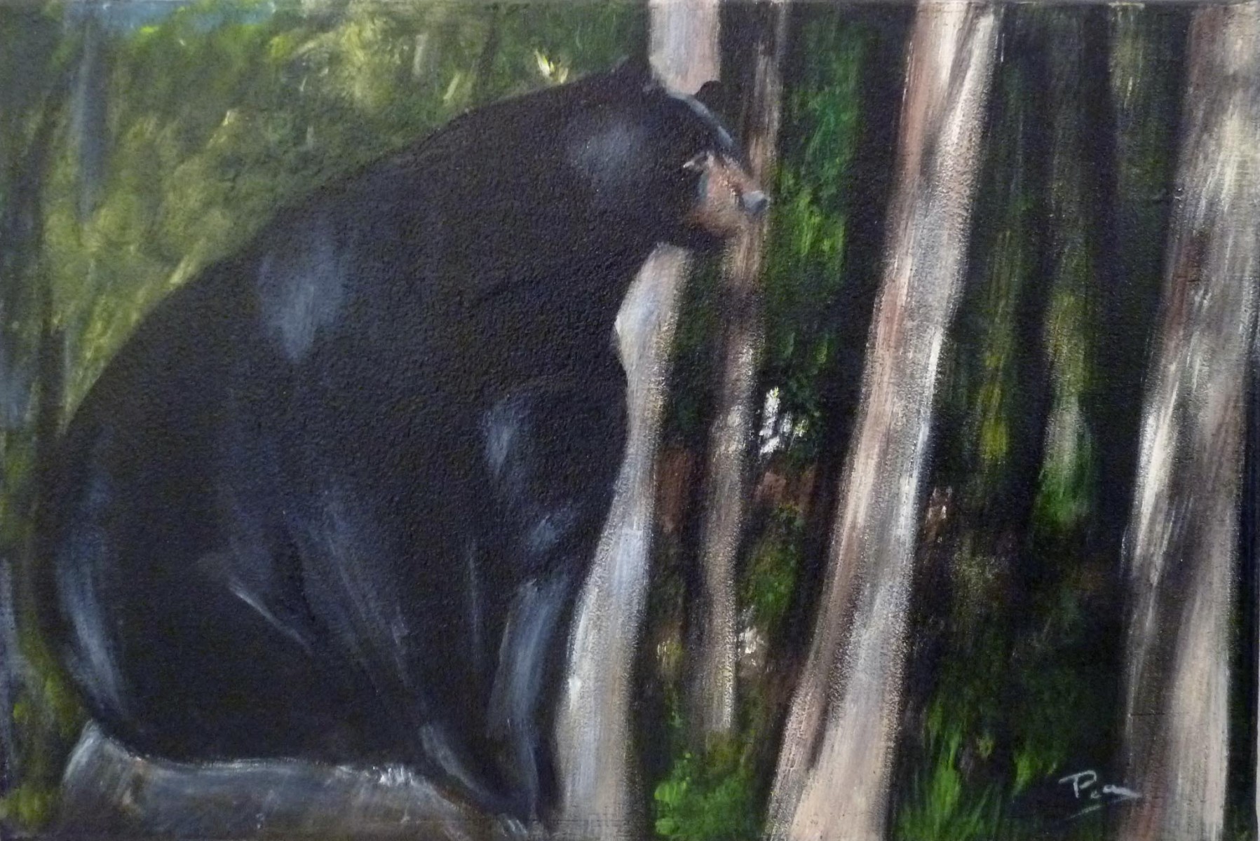 Peggy Cardoso, Un ours plutôt bien léché Peggy Cardoso, Un ours plutôt bien léché