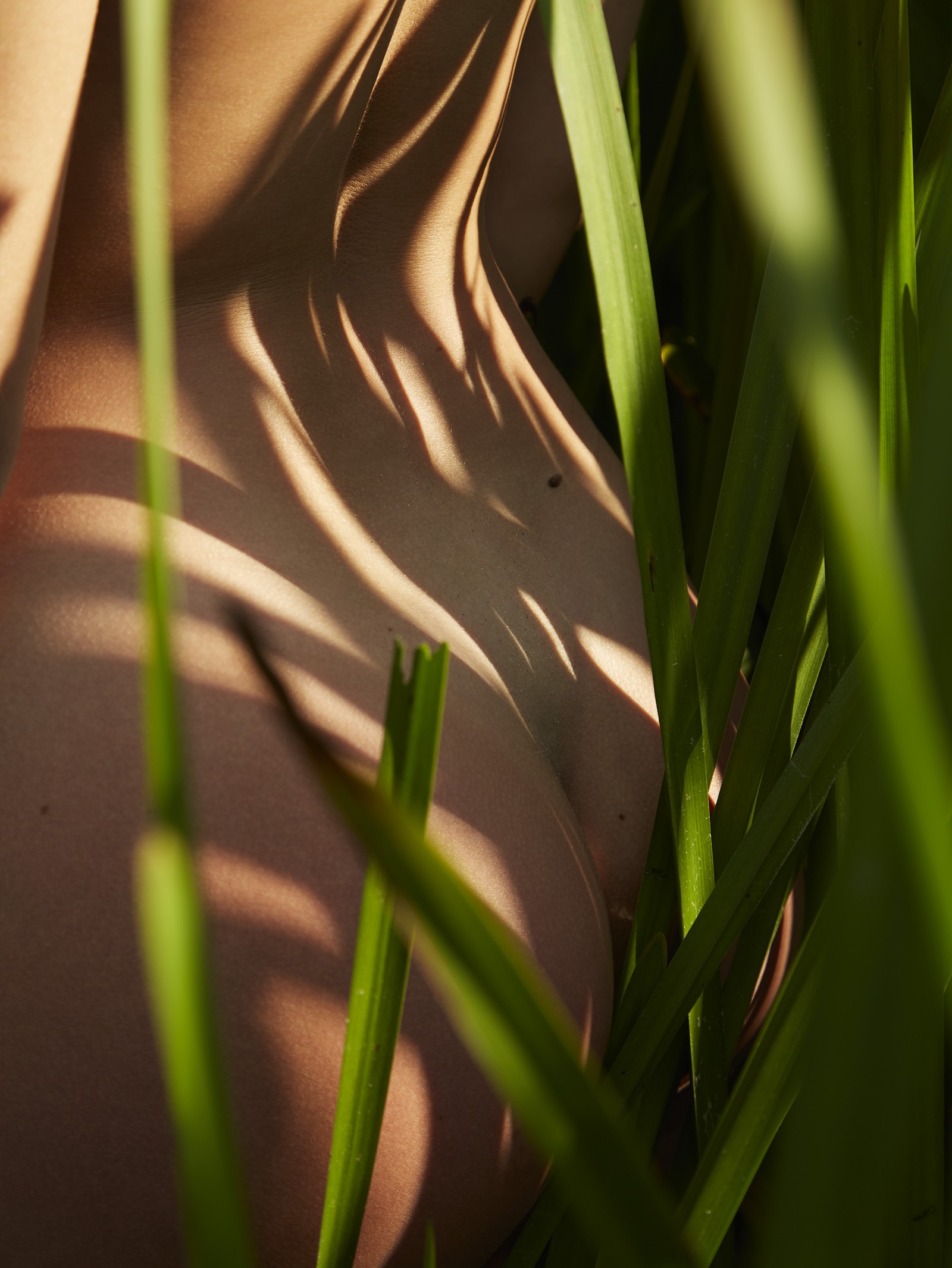 Lesya Rozova, Hide and seek Lesya Rozova, Hide and seek