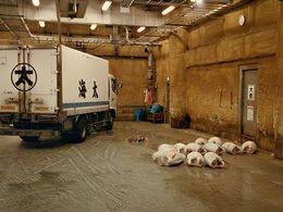 Photographie, Tsukiji fish market, Fabrizio Alzati