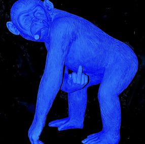 Skulpturen, Singe bleu au cigare, François Rambaud