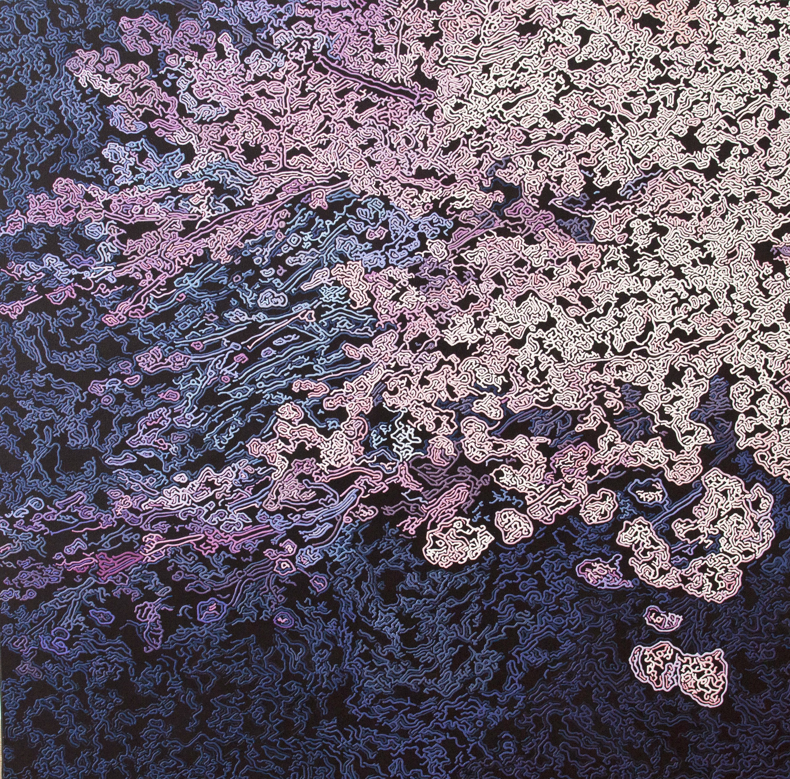 Diana Torje, Pink Cherry Blossom Diana Torje, Pink Cherry Blossom