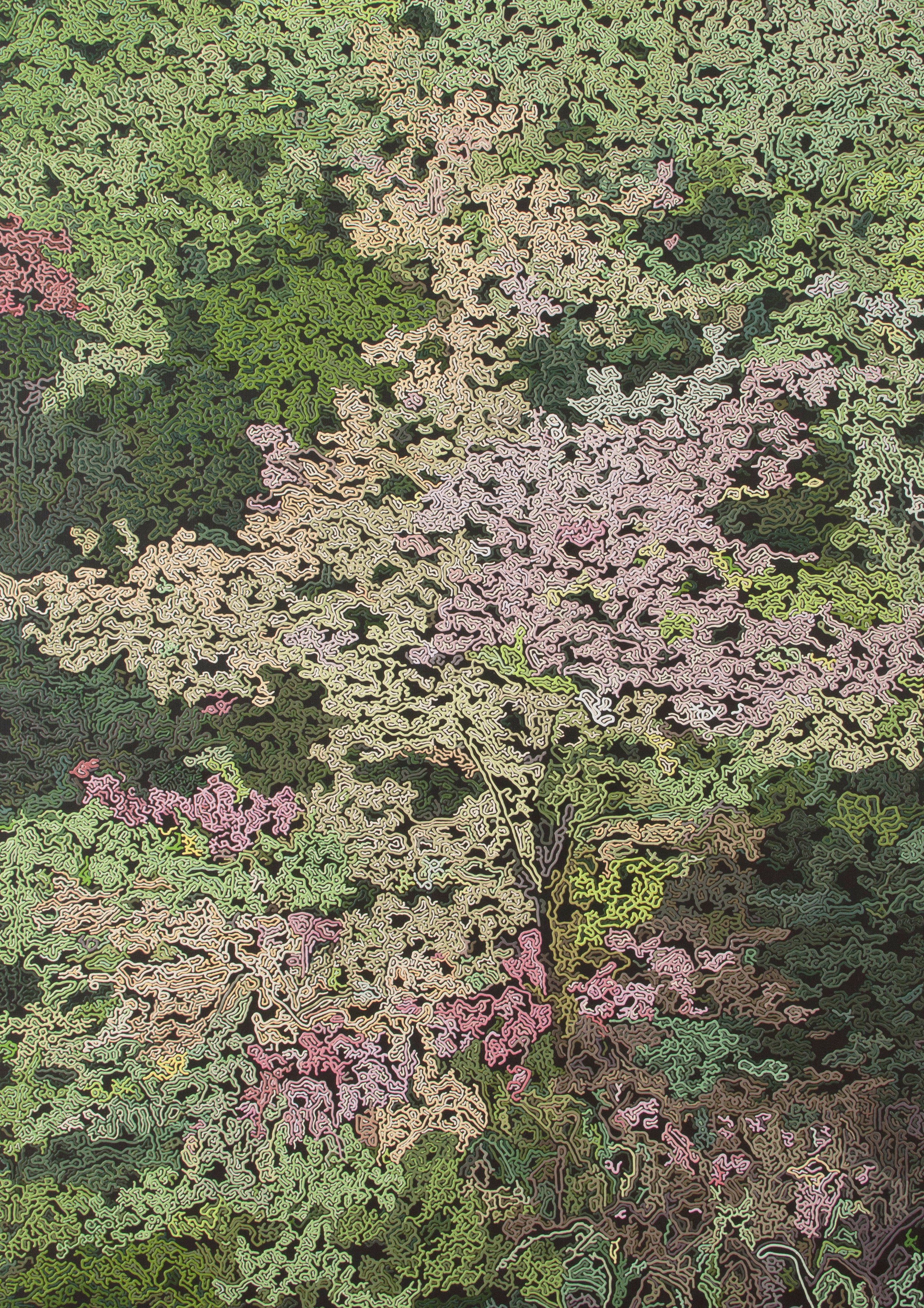 Diana Torje, Spring Garden Diana Torje, Spring Garden