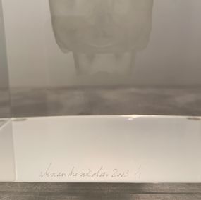Alexandre Nicolas, Vanité Alexandre Nicolas, Vanité