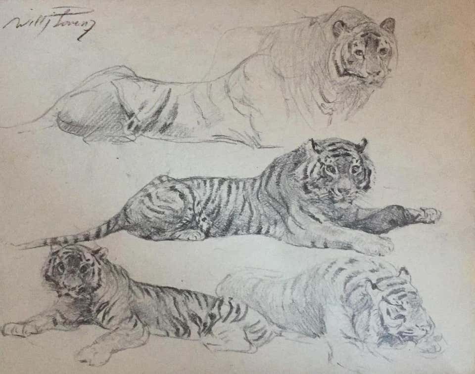 Wilhelm Lorenz, Tiger at Rest Wilhelm Lorenz, Tiger at Rest
