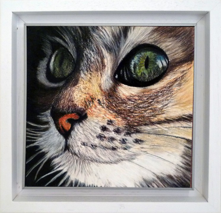 Les Yeux Des Chats 5 Par Nuray Boguc 16 Dessin Artsper