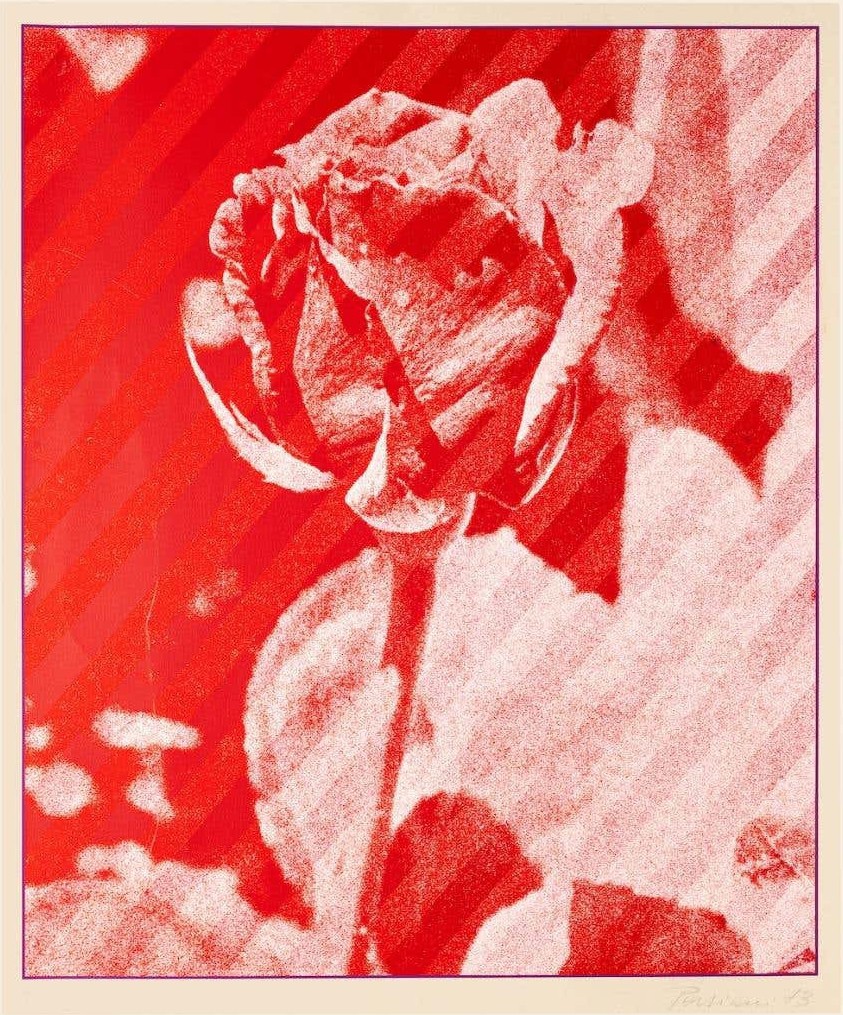 Costantino Persiani, The Rose Costantino Persiani, The Rose