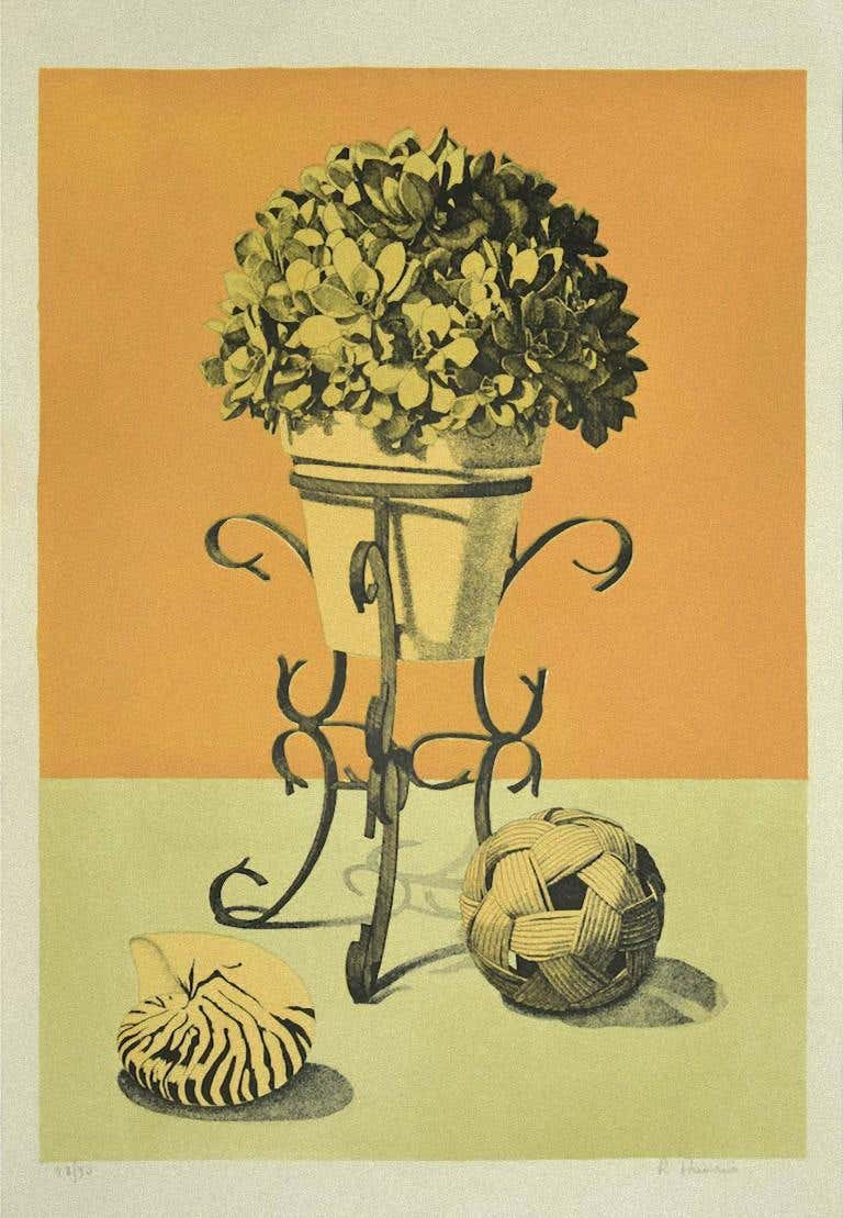 Raffaello Piraino, Still Life Raffaello Piraino, Still Life