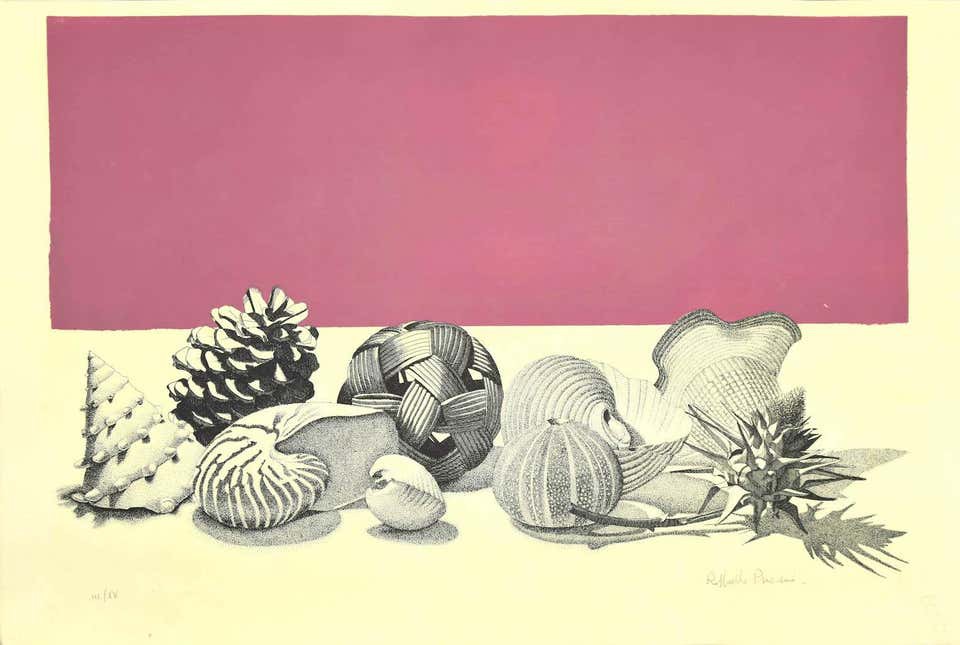 Raffaello Piraino, Still Life Raffaello Piraino, Still Life