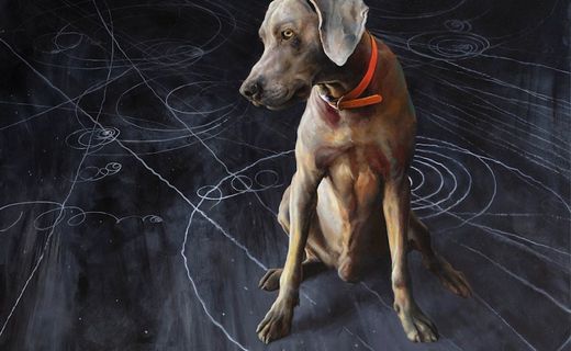 The Art of Dogs: Joe Coffey