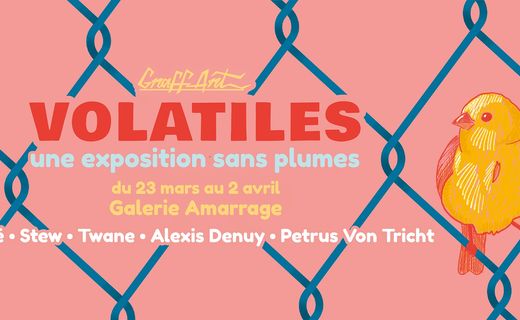 Volatiles