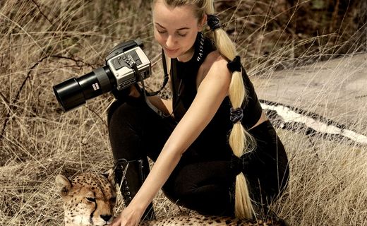 Nature Takes Over Culture