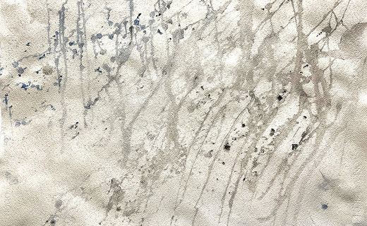 Courses de l'Antarctique – exposition de Marina Velikova