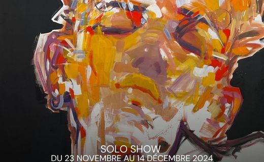 Introportraits & autres variations