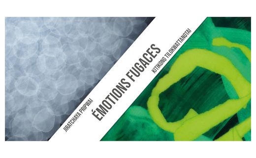 Emociones fugaces