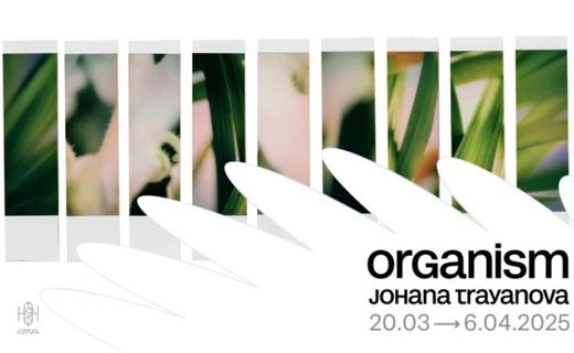 Organisme – Exposition de Johana Trayanova