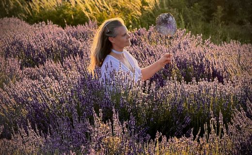 Dream Stone - Lavender collection in Provence
