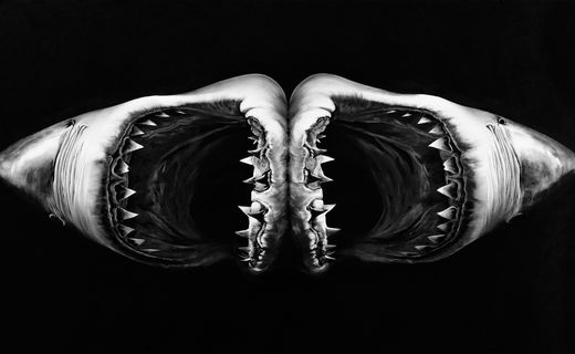 Toutes les vagues ne vous invitent pas à la mer de Robert Longo : sublime, terrible, vivante